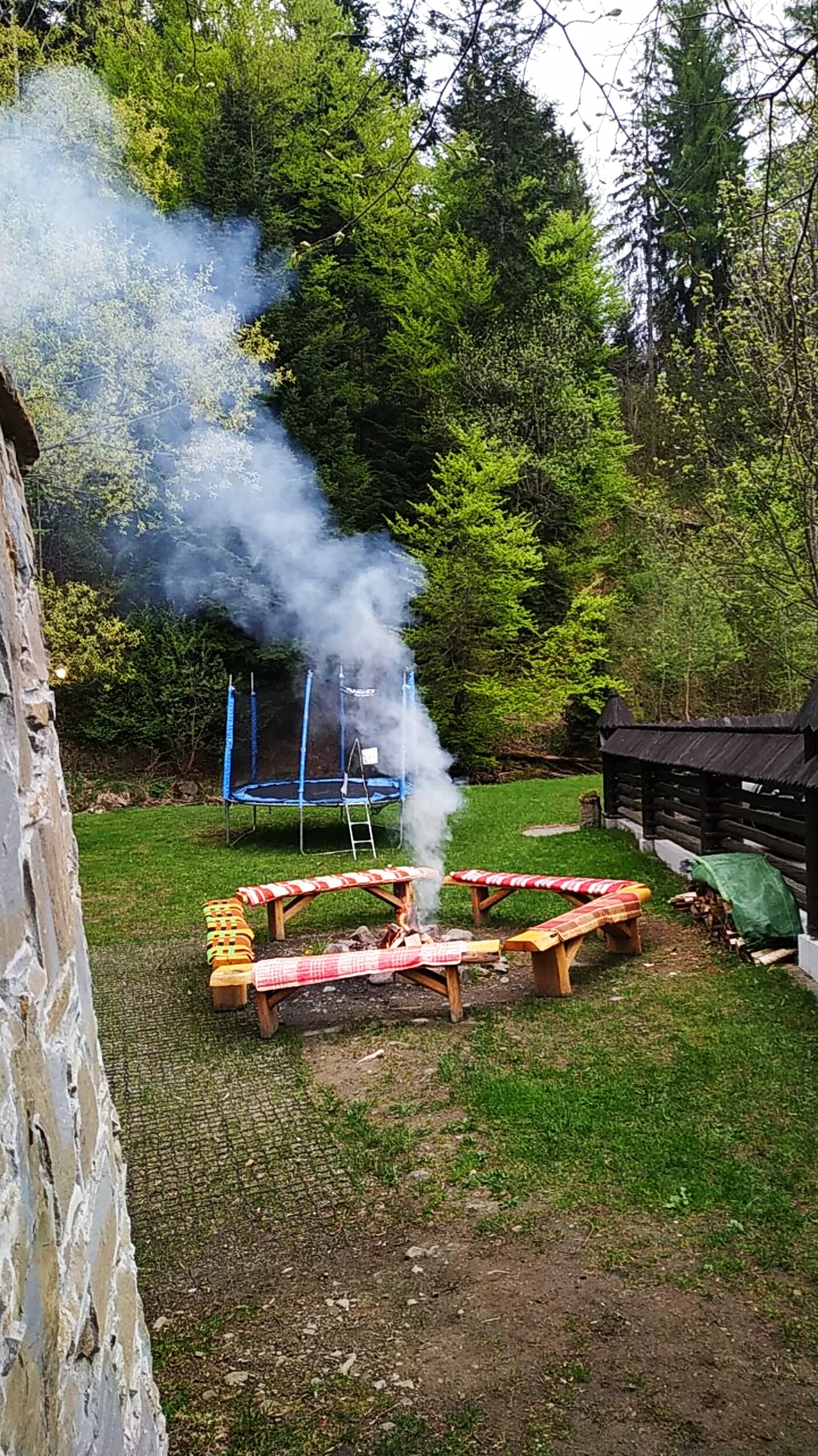 Ogród z ławkami ustawionymi wokół ogniska, dymem i lasem w tle
